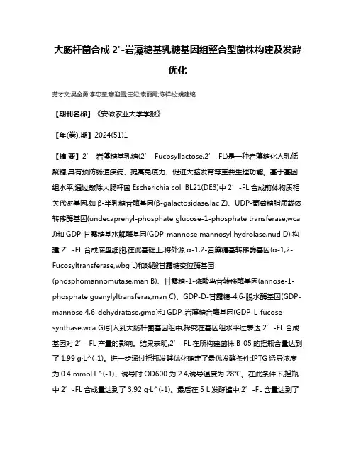 大肠杆菌合成2'-岩藻糖基乳糖基因组整合型菌株构建及发酵优化
