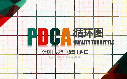 皮肤科pdca案例分析课件