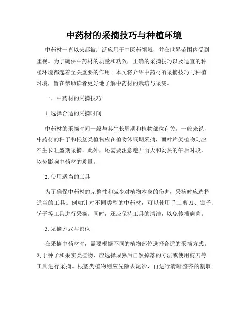 中药材的采摘技巧与种植环境