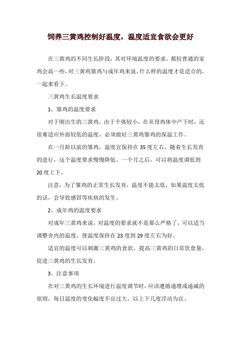 饲养三黄鸡控制好温度,温度适宜食欲会更好
