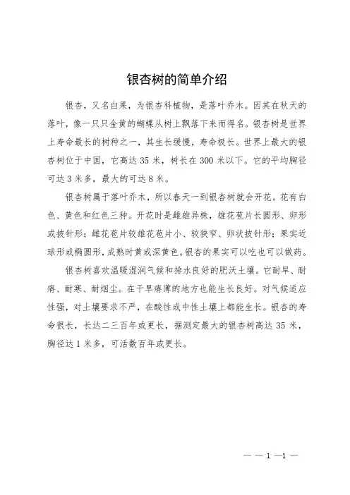 银杏树的简单介绍