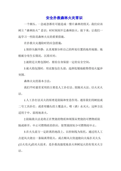 安全扑救森林火灾常识