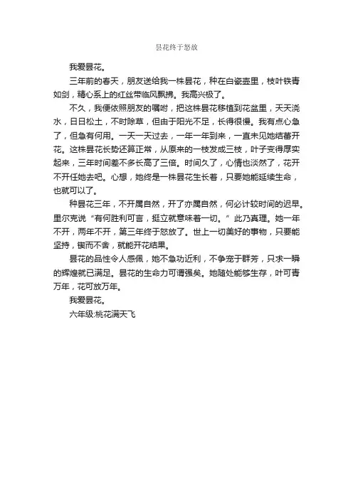 昙花终于怒放_作文400字_小学六年级写景作文_