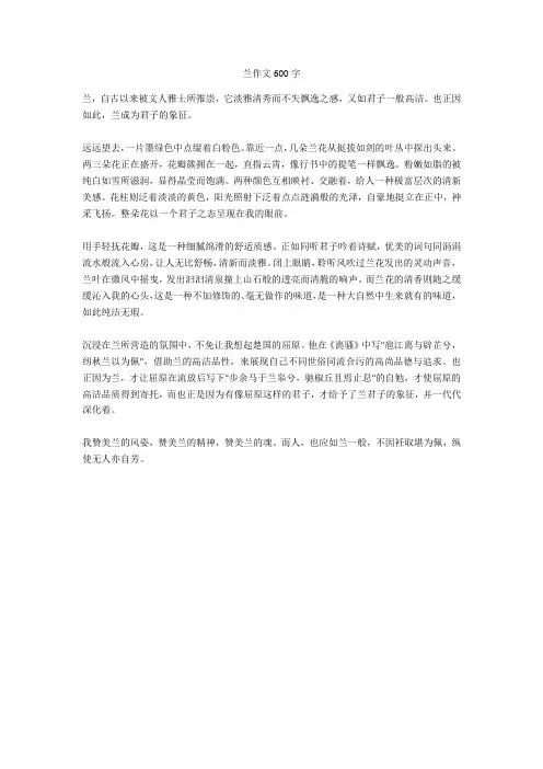 兰作文600字完美版
