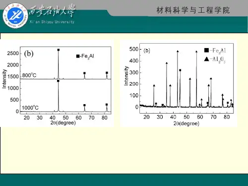 断口分析-文档资料