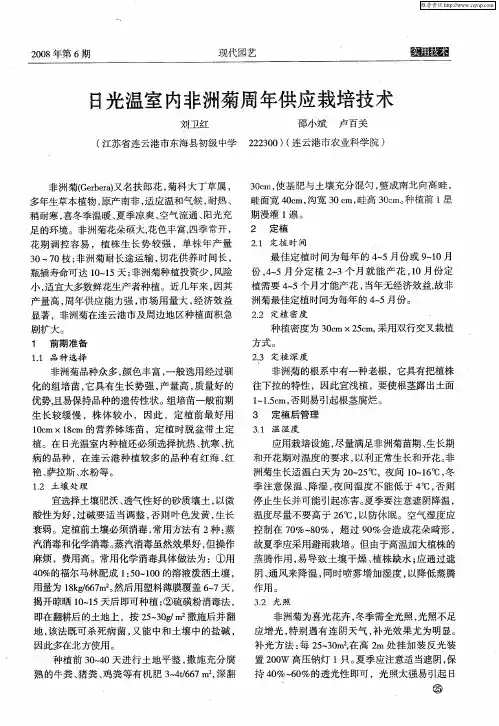 日光温室内非洲菊周年供应栽培技术