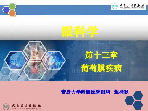 葡萄膜疾病PPT课件