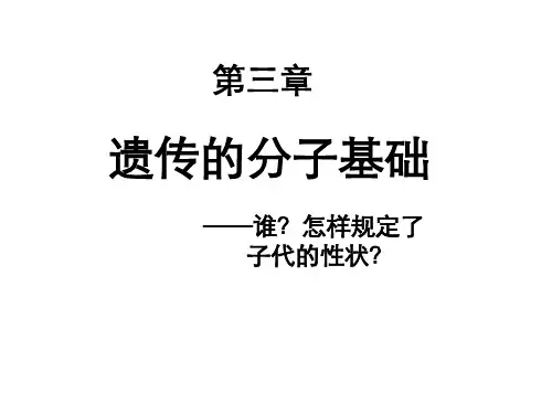 RNA和蛋白质的合成(共9张PPT)