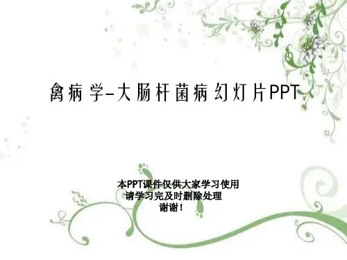 禽病学-大肠杆菌病幻灯片PPT