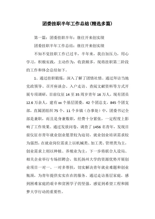 团委挂职半年工作总结