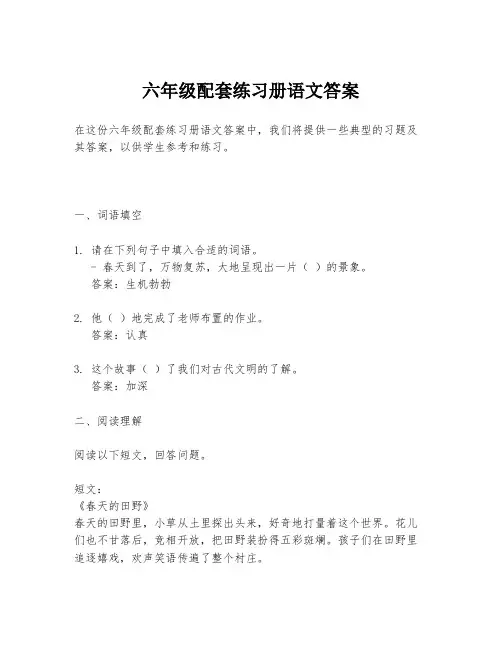 六年级配套练习册语文答案