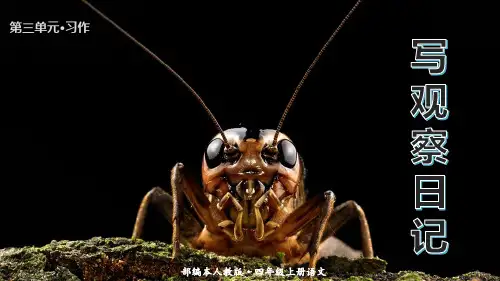 【精品】部编人教版四年级语文上册第三单元《习作写观察日记》名师教学课件