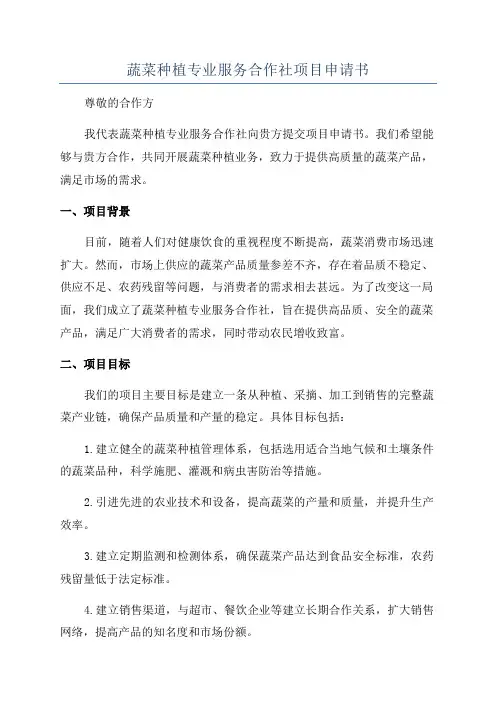 蔬菜种植专业服务合作社项目申请书