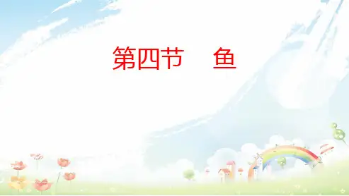 人教版初中八年级生物上册第四课鱼 (1)ppt课件