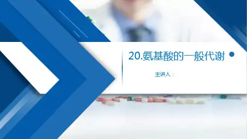 生物化学 第二版 20氨基酸的一般代谢