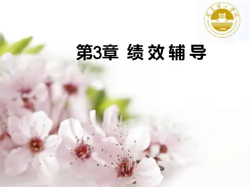 第3章绩效辅导