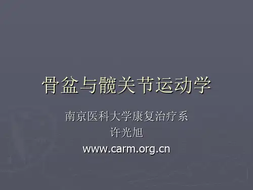骨盆与髋关节运动学PPT课件