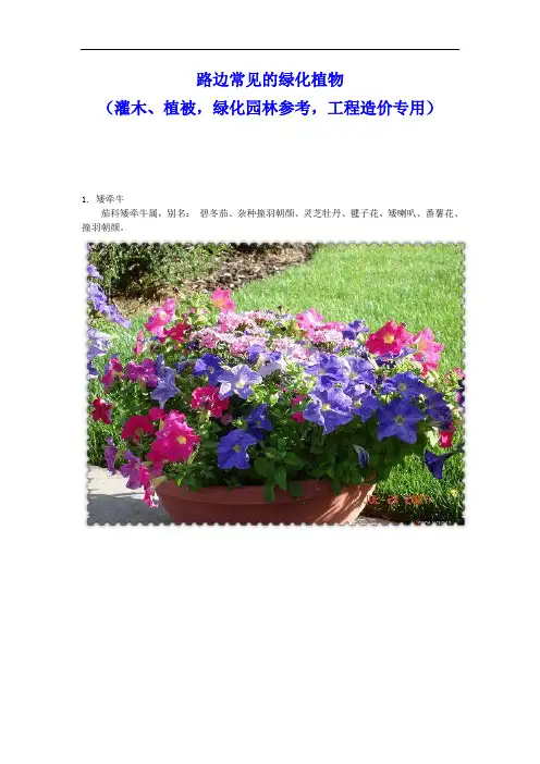 路边常见地绿化植物100余种(灌木、植被,绿化园林参考,工程造价专用)