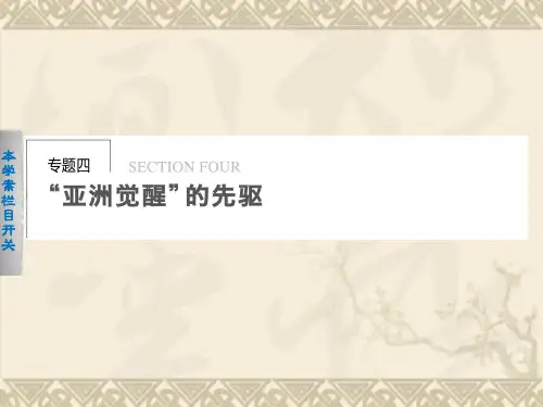 高中历史人民版选修4同步课件+专题总结专题4 “亚洲觉醒”的先驱 4.1 中国民族民主革命的先行