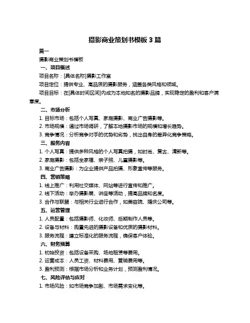摄影商业策划书模板3篇