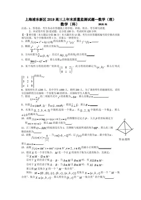 上海浦东新区2019高三上年末质量监测试题--数学(理)