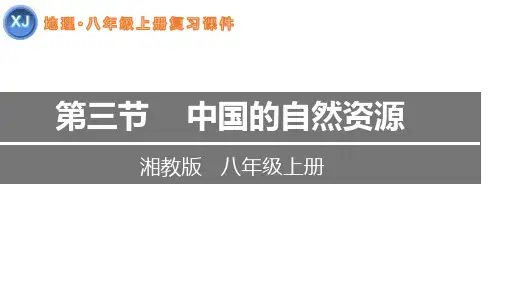 考点05 中国的自然资源-八年级地理上册单元复习课件(湘教版)
