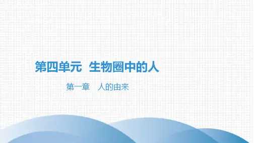 最新人教版中考生物复习知识点梳理 第四单元 生物圈中的人 第一章人的由来