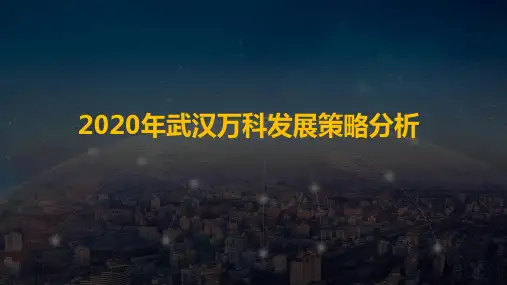 2020年武汉万科发展策略模式全面分析(最全)