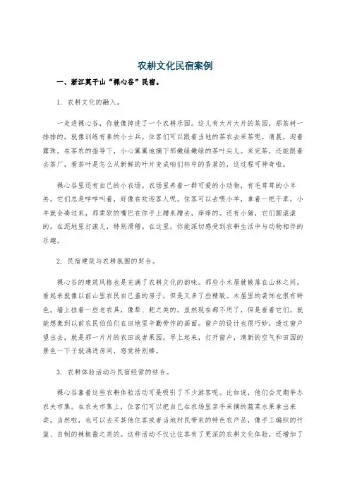 农耕文化民宿案例