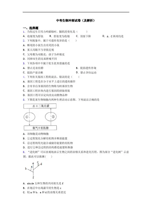 中考生物冲刺试卷(及解析)