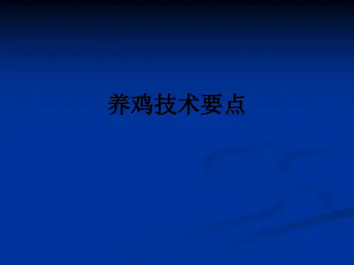 养鸡技术要点ppt课件