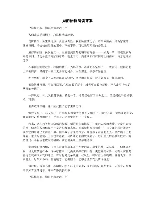 秃的梧桐阅读答案