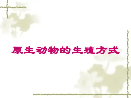 原生动物的生殖方式.