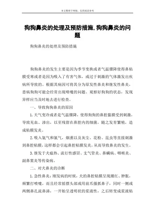 狗狗鼻炎的处理及预防措施,狗狗鼻炎的问题_1