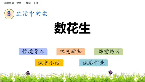 新北师大版一年级数学下册《数花生》精品教学课件