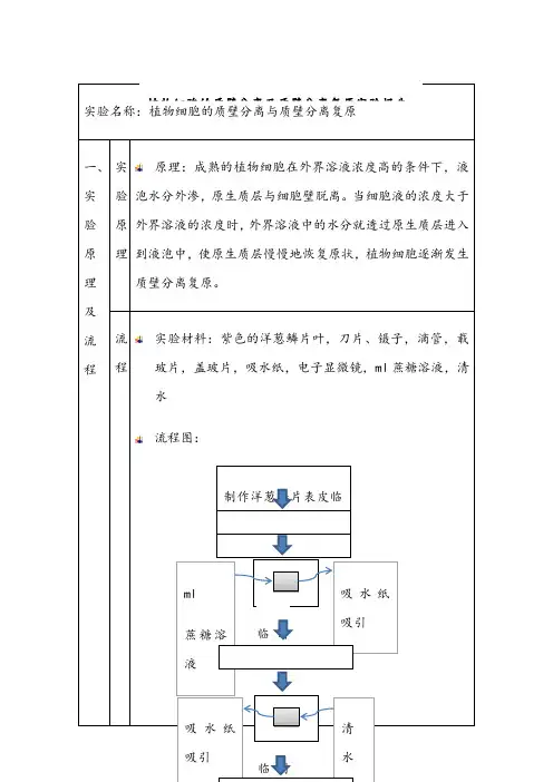 质壁分离实验报告