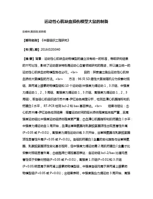 运动性心肌缺血损伤模型大鼠的制备
