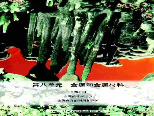 初三化学下学期8单元课题-PPT课件
