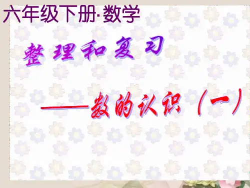 六年级下册数学课件-6.1数的认识 ｜人教新课标(2014秋)  (共20张PPT)