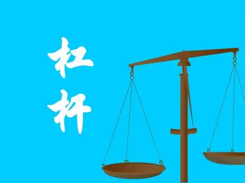 杠杆专题复习——博奥学校段立华