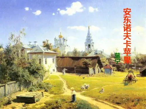 安东诺夫卡苹果[D]