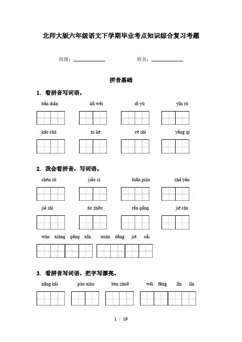 北师大版六年级语文下学期毕业考点知识综合复习考题