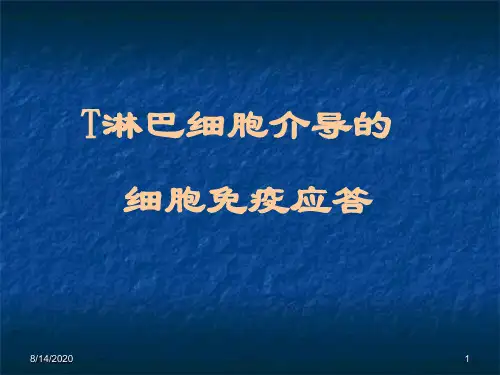 细胞免疫应答 ppt课件