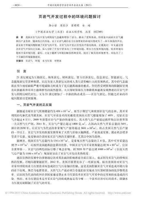 页岩气开发过程中的环境问题探讨