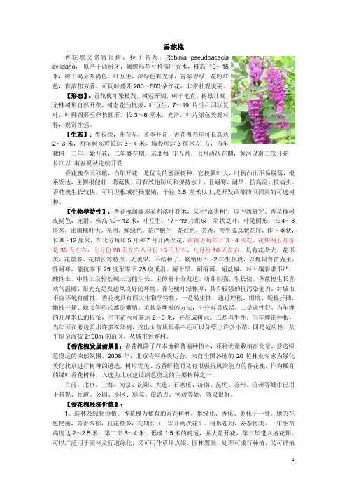 香花槐  养植