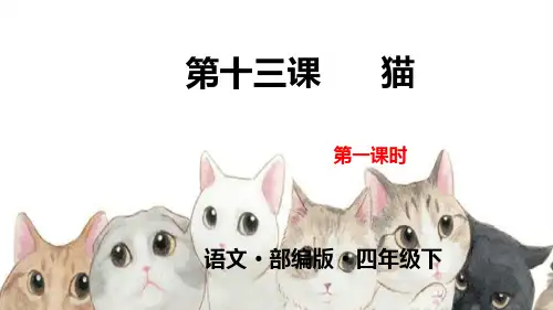 部编版四年级语文下册第13课《猫》完美实用PPT课件