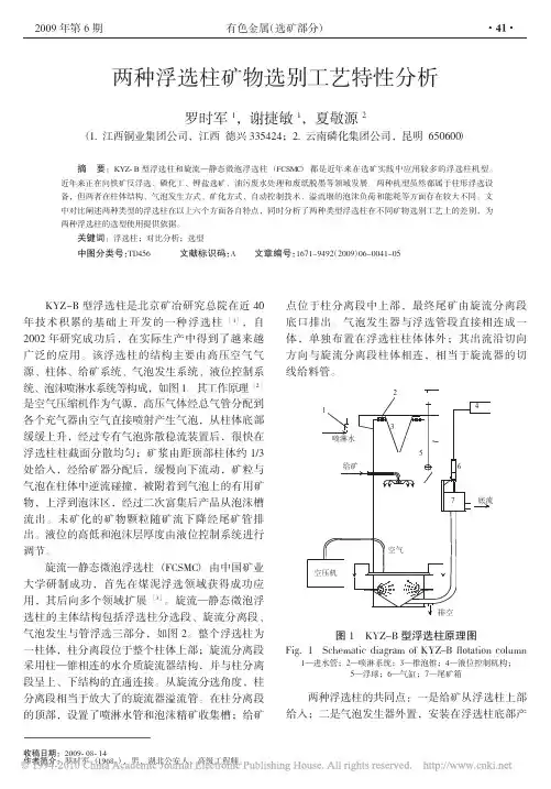 两种浮选柱矿物选别工艺特性分析