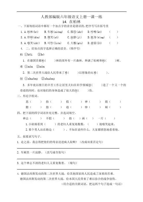【精品】14.在柏林 人教部编版六年级语文上册一课一练(含答案)