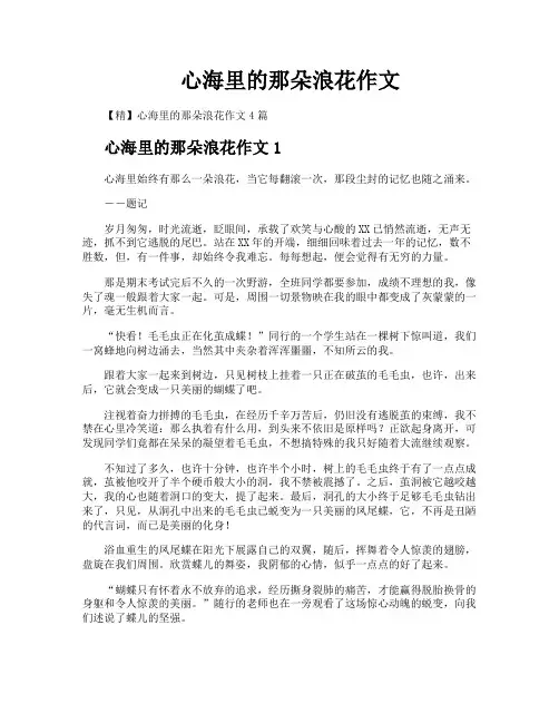 心海里的那朵浪花作文