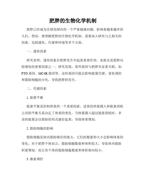 肥胖的生物化学机制